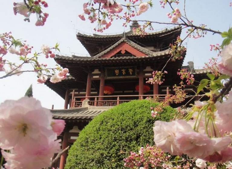 三月春暖花开 去西安青龙寺赏樱花 现景区延3小时闭园