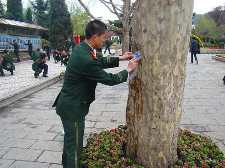 中国最干净的五个城市排行 第一竟然是珠海 素有“百岛之市”之称