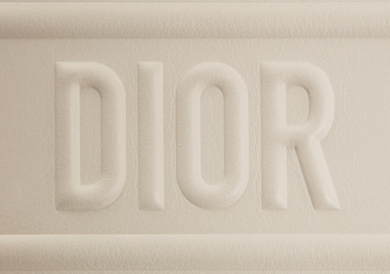 Dior迪奥 Dior Book Tote原色光滑小牛皮手提包
